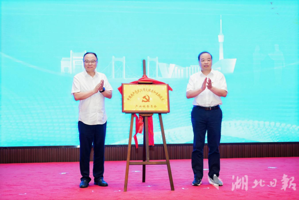 展鹏配资 武汉市大健康产业链党委揭牌，产业规模5546亿，瞄准万亿
