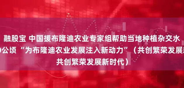融股宝 中国援布隆迪农业专家组帮助当地种植杂交水稻3800公顷 “为布隆迪农业发展注入新动力”（共创繁荣发展新时代）